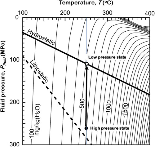 Figure 6. Equilibrium solubility of quartz in water (modified after Saishu et al., Citation2017). The hydrostatic and lithostatic lines are based on a geothermal gradient of 20 °C km−1 and a mean rock density of 2700 kg m−3. The indicated fluid pressure drop from the high to low pressure at 250 °C results in a potential quartz deposition equivalent to nearly 100 mg kg−1 of fluid.