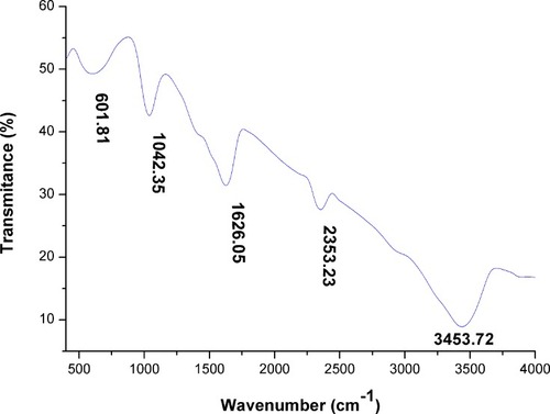 Figure 7 FTIR spectra of green SNPs synthesized using Desertifilum sp.Abbreviations: FTIR, Fourier-transform infrared spectroscopy; SNPs, silver nanoparticles.
