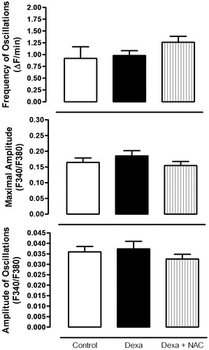 Figure 4. Glucose-induced [Ca+2]i changes in pancreatic islets after 72 hours of dexamethasone and Dexa plus NAC treatment. Bars represent mean values of at least five independent experiments.