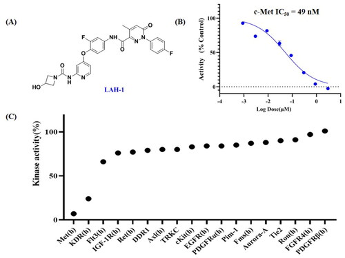 Figure 3. (A). The chemical structure of LAH-1; (B). The IC50 determination of LAH-1 against c-Met enzyme in vitro. (C). Kinase profile of LAH-1 against a panel of 18 kinases at 300 nM.