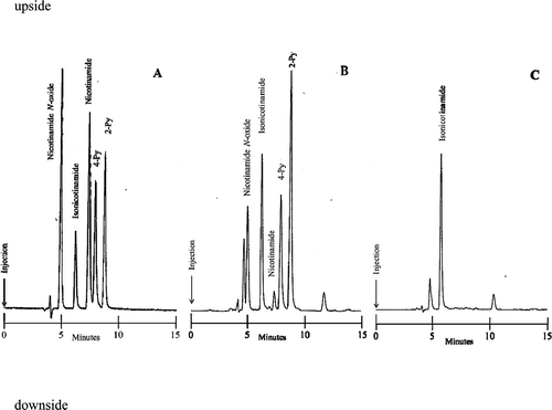 Fig. 2. Chromatograms of a standard mixture of Nam, 2-Py, 4-Py, and Nam N-oxide (A) and extractions of C57BL/6 wild mouse urine (B) and Qprt knockout mouse urine (C).Note. (A): Injection amounts; IsoNam, (internal standard) 164 pmol; Nam, 466 pmol; 2-Py, 108 pmol; 4-Py, 112 pmol; Nam N-oxide, 120 pmol; Hitachi chromatopac D-2500, attenuation 3. (B): Injection amounts; IsoNam, 655 pmol; Nam, 92.2 pmol; 2-Py; 371 pmol; 4-Py, 209 pmol; Nam N-oxide, 156 pmol; Hitachi chromatopac D-2500, attenuation 4. (C): Injection amounts; IsoNam, 652 pmol; Hitachi chromatopac D-2500, attenuation 4.