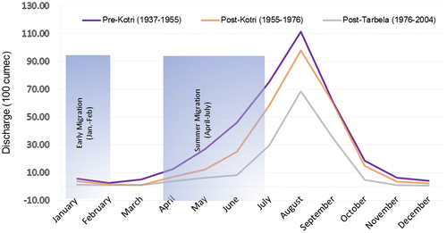 Figure 5. Monthly discharge at downstream Kotri and hilsa migration.