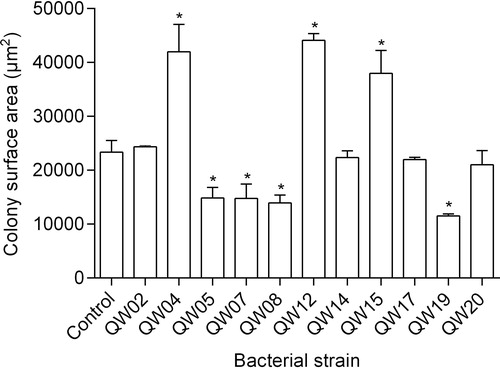 Figure 2. Effects of 11 bacterial isolates on the colony surface area of M. aeruginosa at the end of the test. Each point represents mean ± standard deviation (n = 3). The asterisks (*) indicate P < 0.05 compared to the control.