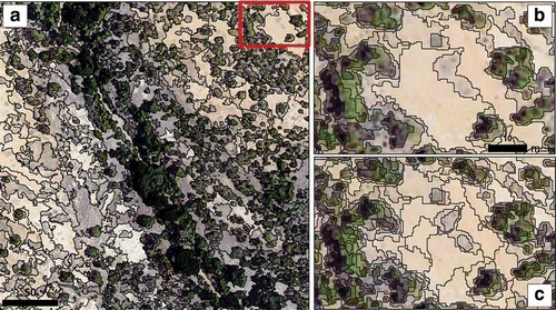 Figure 5. Natural savanna: segmentation results with scale parameters of 88 (a), 36 (b), and 16 (c). Patches of bare soil/grass are clearly delineated from individual trees and shrubs.