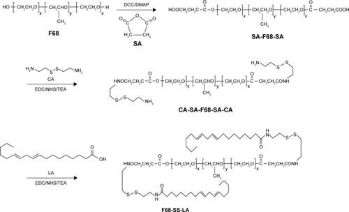 Figure 1 Synthetic scheme of F68-SS-LA copolymer.Abbreviations: CA, cystamine; DCC, N, N′-dicyclohexylcarbodimide; DMAP, 4-dimethylaminopyridine; EDC, 1-(3-Dimethylaminopropyl)-3-ethylcarbodiimide hydrochloride; LA, linoleic acid; NHS, N-hydroxysuccinimide; SA, succinic acid; TEA, triethylamine.