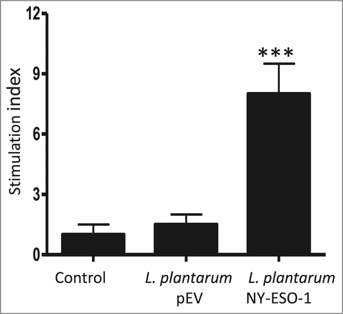 Figure 3. T-cell response to NY-ESO-1. Spleenic cells from mice immunized with either L. plantarum expressing NY-ESO-1 or L. plantarum harboring the vector (pEV) were prepared and stimulated for 6 d with NY-ESO-1 protein (10 μg/ml). Thereafter, T-cell proliferation was determined by incorporation of [3H]-thymidine following overnight pulsing. The results are expressed as the mean values of stimulation index ±SD for triplicate determination. Stimulation index is calculated by dividing the number of cpm for NY-ESO-1-stimulated cells by the number of cpm in unstimulated cells. Control = mice injected with PBS buffer. The data are representative for 5 separate experiments. ***p < 0.001.