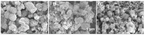 Figure 7 Scanning electron microscopy images of hierarchically nanostructured hydroxyapatite prepared by hydrothermal method at 200°C for different lengths of time: (A) 3 hours (sample 3); (B) 4 hours (sample 4); (C) 6 hours (sample 5).