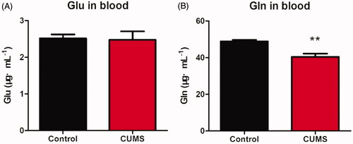 Figure 5. The concentration of Glu and Gln in mouse plasma. The Glu contained in plasma (A); The Gln contained in plasma (B). Data are expressed as Mean ± SEM, n = 8–10. **p < 0.01.