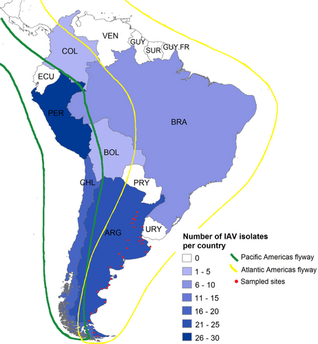 Fig. 3 Number of IAV isolates in South America. The color intensity gradient indicates the number of IAVs obtained from wild birds in each country.Argentina (n = 23), Bolivia (n = 1), Brazil (n = 10), Chile (n = 20), Colombia (n = 2), and Peru (n = 30). Bird migration routes are indicated in green and yellow. Red dots represent all sites sampled for IAV in Argentina