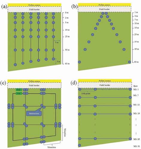 Figure 7. Sampling design of the 2010–1 experimental field. (a) Tsix, (b) TV, (c) JM(l), and (d) SYS