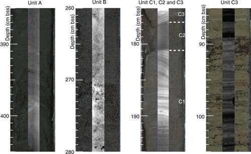 Fig. 3  Optical and radiographic images of selected sections showing the characteristics of the stratigraphic units.