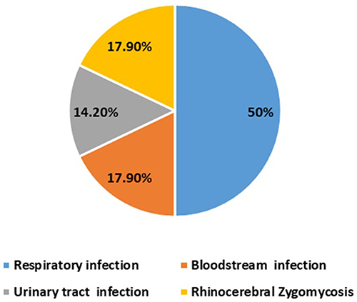 Figure 1 Type of Secondary infections in COVID 19 patients.