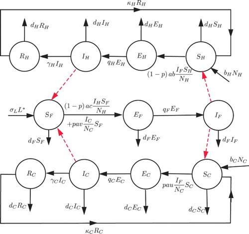 Figure 1. Flow diagram of HAT transmission dynamics.