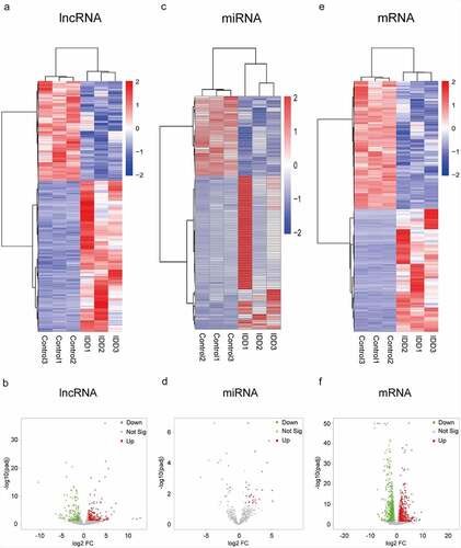 Figure 1. Expression profiles of lncRNAs, miRNAs and mRNAs. (a) Heat map of DELs in the IDD group compared with the control group. (b) Volcano plot of the DELs. (c) Heat map of DEMis. (d) Volcano plot of DEMis. (e) Heat map of DEMs. (f) Volcano plot of DEMs. IDD, intervertebral disc degeneration; lncRNA, long noncoding RNA; miRNA, microRNA; DELs, differentially-expressed lncRNAs; DEMis, differentially-expressed microRNAs; DEMs, differentially-expressed mRNAs