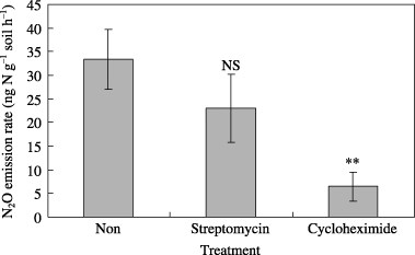 Figure 3  Effect of the addition of antibiotics on N2O production in the peat soil (CL-A). Values shown are mean ± standard deviation (n = 3). NS, not significant (P = 0.121); **P < 0.01 (Dunnett's test results).