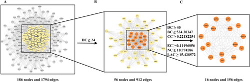 Figure 4. Identification of core network and hub targets of DHJS against RA via topological analysis of PPI network. (A) PPI network of potential therapeutic targets. (B) PPI network of significant targets extracted from Panel A through DC. (C) PPI network of hub targets for RA treatment extracted from Panel B through DC, BC, CC, EC, NC and LAC.