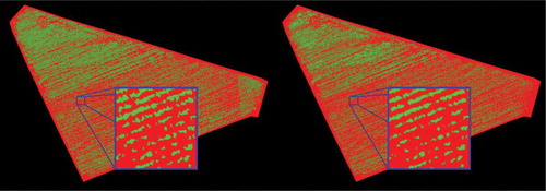 Figure 4. The left image shows the ground truth. The right image present the prediction archived with linear svm using RGB channels, EXG index and gabor features in the feature vector.