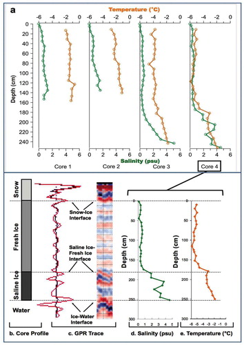 FIGURE 2. Ice core analysis in Yelverton Inlet. (a) Depth, temperature, and salinity measurements from ice cores 1–4 (locations in Fig. 1, Part c). Vertical ice stratigraphy at Core 4: (b) Ice type, (c) GPR record, wiggle trace (left) and color trace (right), (d) Salinity, (e) Temperature.