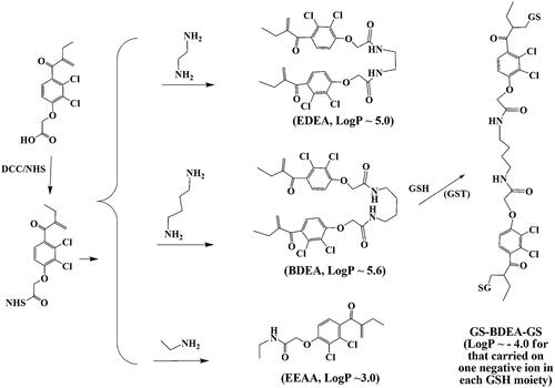 Scheme 1. Syntheses of the designed pro-inhibitors and the divalent GSH conjugate of BDEA. BDEA: N,N’-butyl-1,4-di-ethacrynic amide; EDEA: N,N’-ethyl-1,2-di-ethacrynic amide; EEAA: N-ethyl ethacrynic amide; GS-BDEA-GS, the divalent product of BDEA