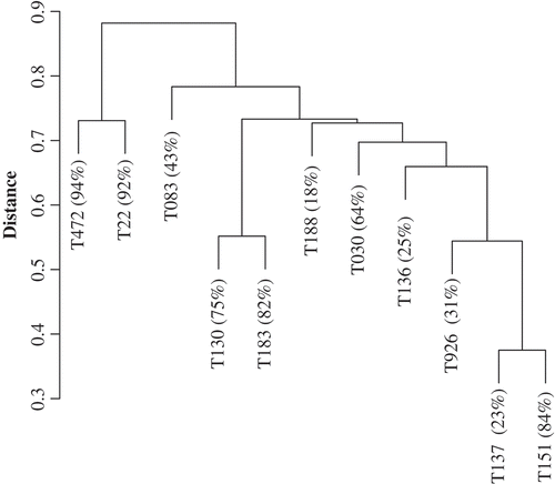 Fig. 1. Unweighted paired-group dendrogram of isolates using a Jaccard association matrix of binary relationships (presence-absence) of compounds detected in HPLC. Branch lengths indicate distance (differences) in the chemical composition of isolates.