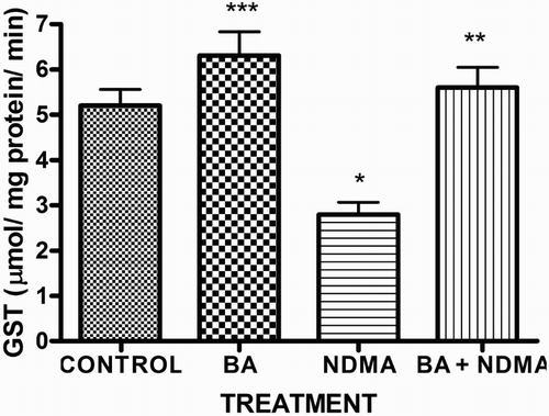 Figure 5. Activity of testicular GST in rats treated with NMDA and BA (alone and combination).