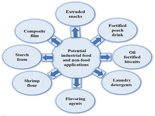 Figure 4. Potential industrial products from shrimp by-products.