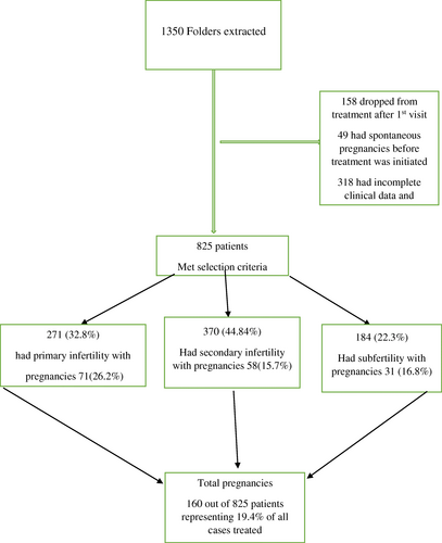 Fig. 1 Diagram showing a summary of patient sampling, diagnosis and pregnancy outcome