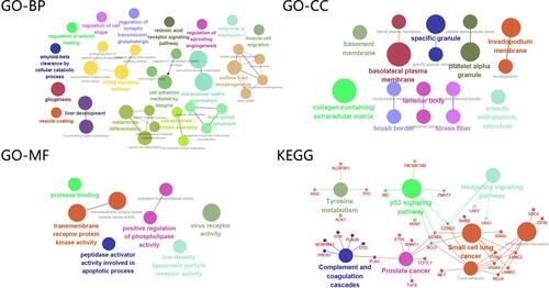 Figure 3 GO annotation and KEGG pathway analyses on DEGs.