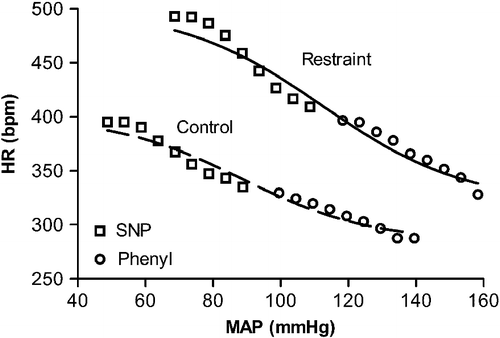 Figure 6  Scatter plot of MAP–HR data from one representative rat before (control) or during acute restraint stress (restraint) measured during phenylephrine (Phenyl, ○) and SNP (▪) infusions, with the fitted sigmoid curves (control: r2 = 0.97; restraint: r2 = 0.95). Curves were constructed by plotting the HR value observed at each subsequent 5 mmHg of increase or decrease in MAP.