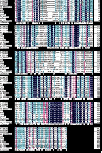 Figure 6. Multiple amino acid sequence alignment of TPS and other OTSA.