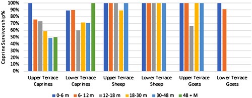 Figure 6. Histogram of the Percentage of Fused Elements for Caprines in Upper and Lower Terrace. Age estimation following Zeder (Citation2006).