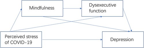 Figure 2. The conceptual model of the sequential mediation role of mindfulness and dysexecutive function.