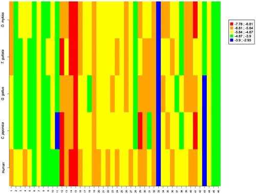 Figure 10. Graphical display of the score values obtained for the 46 studied molecules (x-axis) on the aromatases of human, C. japonica, G. gallus, T. guttata and O. mykiss.