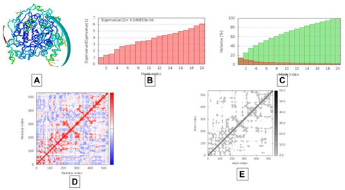 Figure 10 Results of molecular dynamics simulations of AAZ8 docked complex with AChE. (A) NMA mobility, (B) eigenvalues, (C) variance (red color represents individual variance in comparison with green color representing cumulative variance), (D) covariance map correlated in red color, uncorrelated in white color and blue color giving correlated, (E) elastic region as more grey area represents more hard regions.