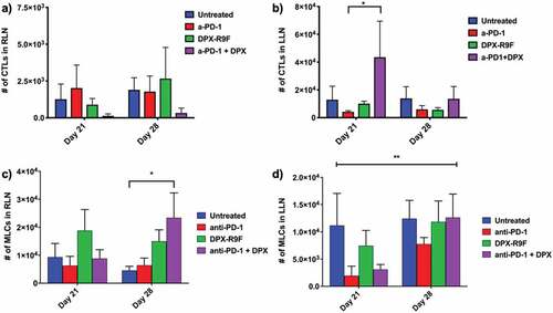 Figure 5. Treatment with DPX increases recruitment of CTLs to tumor-draining lymph node (LLN), increases recruitment of MLCs to treatment draining lymph node (RLN), and the number of MLCs recruited to the LLN increases with time with treatment. The number of CTLs recruited to a) the right lymph node (tumor-draining) or b) the left lymph node (DPX-draining) at days 21 and day 28 for each treatment. The number of MLCs recruited to c) the right lymph node (tumor-draining) or d) the left lymph node (DPX-draining) at days 21 and day 28 for each treatment.* indicates p < .1 according to t-test with Dunnett’s correction for multiple comparisons; ** indicates that the mixed-model ANOVA found a significant effect due to time with p < .05