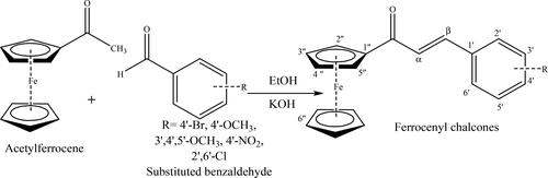 Scheme 1. General method for the synthesis of ferrocenyl chalcone.