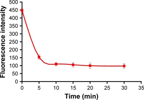 Figure 3 The relationship between the concentration of alginate and adsorption time.Note: The excitation wavelength was set at 495 nm (n=3, mean ± standard deviation).