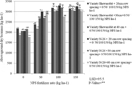 Figure 1. Mung bean above-ground dry biomass weight as affected by interaction of varieties, row spacing and NPS fertilizer rate at Kindo Koysha woreda in 2018.