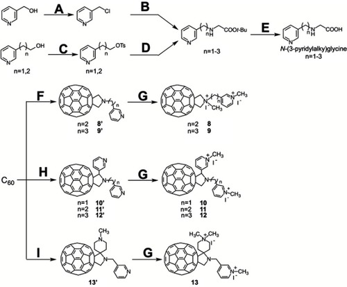 Scheme 2 Synthesis of 8–13. (A) thionyl chloride, CH2Cl2, reflux, quant; (B) glycine tert-butyl ester hydrochloride, triethylamine, ethanol, reflux, 59%; (C) tosyl chloride, KOH, THF, r.t, 96–100%; (D) glycine tert-butyl ester hydrochloride, NaHCO3, acetonitrile, 60 °C, 22–37%; (E) TFA, toluene, r.t, quant; (F) paraformaldehyde, N-(3-pyridylalkyl)glycine, DIEA, toluene, reflux, 11–33%; (G) methyl iodide, r.t, 85–92%; (H) 3-pyridinecarboxaldehyde, N-(3-pyridylalkyl)glycine, DIEA, toluene, reflux, 12–34%; (I) N-methyl-4-piperidone, N-(3-pyridylalkyl)glycine, DIEA, toluene, reflux, 21%.Abbreviations: THF, tetrahydrofuran; DIEA, N,N-diisopropylethylamine.