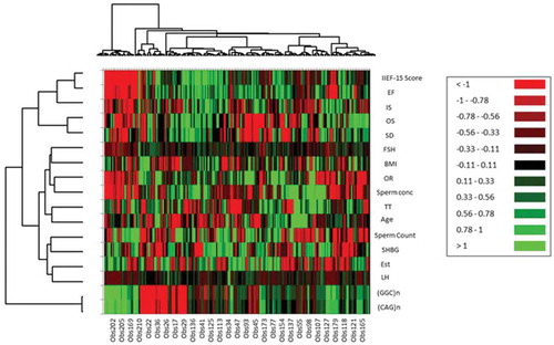 Figure 2. Clustering dendrogram (Heat map) showing samples in rows and parameters in columns. Cluster analysis (CA) aligned all studied parameters into three clusters. Cluster I: International index of Erectile Function-15 score, EF, IS, OS, SD; Cluster II: Sperm concentration, Sperm count; LH, FSH, TT, BMI, Age, Estradiol, SHBG; and Cluster III: (CAG)n, (GGC)n.