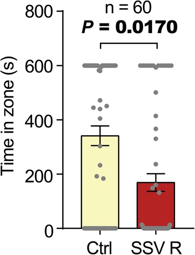 Figure 1. Behavioral responses of the male bean bugs in a vertical airflow olfactometer. Virgin male bean bugs (n = 60) showed a strong avoidance behavior to a synthetic soybean volatile mixture R (SSV R). Bars represent mean time an individual bean bug stayed in each zone ± SEM. P-value was determined by the Wilcoxon signed-rank test. Visual description of vertical airflow olfactometer and behavioral responses of the bean bugs to other odors are represented in Supplementary Figure 1.