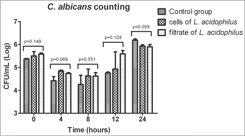 Figure 5. Mean and standard deviation of C. albicans counts (CFU/mL) in the hemolymph of Galleria mellonella immediately after inoculation and after 4, 8, 12 and 24 h of experimental infection. The following groups were compared at each time of infection: control group (MRS broth), C. albicans + L. acidophilus cells group, and C. albicans + L. acidophilus culture filtrate group. A significant difference between groups was only observed after 24 h of infection (ANOVA, P ≤ 0.05), with a larger number of CFU/mL in the control group compared to the C. albicans + L. acidophilus cells (p = 0.0205) and C. albicans + L. acidophilus culture filtrate groups (p = 0.0135). No significant difference was observed between the last 2 groups (p = 0.9251). Tukey test, P ≤ 0.05.