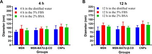 Figure 3 Changes in NP diameter after the NPs at different preparation stages were incubated with distilled water, 5% FBS or 2% BSA for (A) 4 h or (B) 12 h at 37 °C.