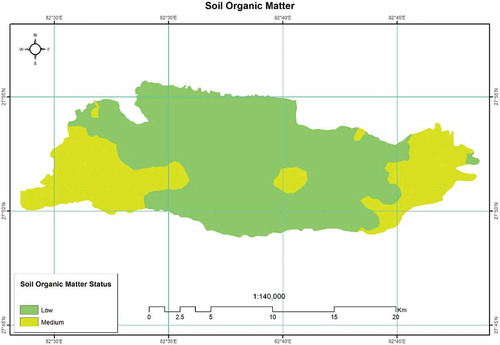 Figure 4. Soil OM spatial variability map in the eastern part of the Dang district of Nepal. The study area was dominated by low (69.40%) and medium (30.60%) OM content.