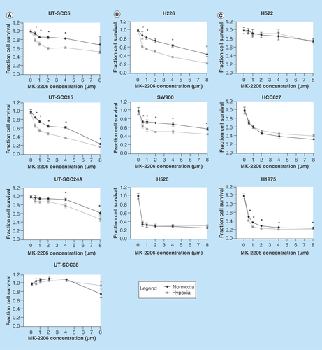 Figure 3.  Effect of AKT inhibition on cell survival under normoxic and hypoxic conditions.Cell survival after treatment with MK-2206 under normoxic and hypoxic (72 h, 0.5% O2) conditions in (A) four head and neck squamous cell carcinoma; (B) three squamous cell carcinoma non-small-cell lung cancer and (C) three adenocarcinoma non-small-cell lung cancer cell lines. Cell survival was measured 72 h after hypoxic incubation in head and neck squamous cell carcinoma lines and 24 h after hypoxic incubation in non-small-cell lung cancer lines. Cell survival under hypoxic conditions shown in graph was corrected for the effect of hypoxia alone. Error bars represent standard deviation. Significant synergism between hypoxia and MK-2206 was determined by correcting the cell survival after hypoxia and MK-2206 by the effect of hypoxia alone. Differences between the effect of MK-2206 under normoxia and the corrected effect of MK-2206 under hypoxia (difference = supra-additive effect) were tested for significance using Mann–Whitney tests. Significant enhanced sensitivity for AKT inhibition under hypoxia after bonferroni correction for multiple testing is marked with an asterisk.