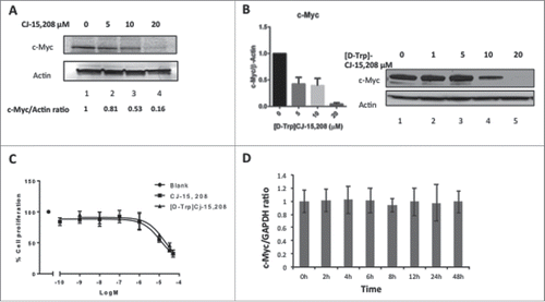 Figure 2. The macrocyclic tetrapeptides [D-Trp]CJ-15,208 and CJ-15,208 reduce c-Myc protein levels and prevent cell growth, but [D-Trp]CJ-15,208 has no effect on c-Myc mRNA expression in PC-3 cells. PC-3 cells were treated with (A) CJ-15,208 and (B) [D-Trp]CJ-15,208 for 48 h at the indicated concentrations, and c-Myc protein levels determined by western blot analysis using c-Myc antibody. The effects of [D-Trp]CJ-15,208 treatment on c-Myc levels from 2 independent experiments are also shown graphically. (C) Cell proliferation was assessed using WST-1 after treating the cells with CJ-15,208 or [D-Trp]CJ-15,208 at the indicated concentrations for 48 h. The data shown are the results from 2 independent experiments, with each data point obtained from triplicate measurements. (D) c-Myc mRNA expression in PC-3 cells was determined following treatment with 10 µM [D-Trp]CJ-15,208 for 0–48 h as described in Materials and Methods.