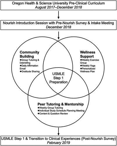 Figure 1. Nourish program overview. Timeline for second-year medical students’ (Class of 2021) participation in Nourish.