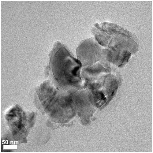 Figure 1 Transmission electron microscopy images of n-TiO2 in TiO2/poly(ether-ether- ketone) composite.Note: Bar, 50 nm.