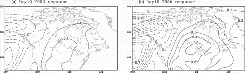 Fig. 6 The air temperature response to tropical thermal forcing in the model at 950 hPa on (a) day 10 (b) day 15.