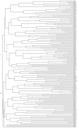 Figure 1. A cluster dendrogram of 150 barley (Hordeum vulgare L.) accessions based on the results obtained by the TOPSIS method.
